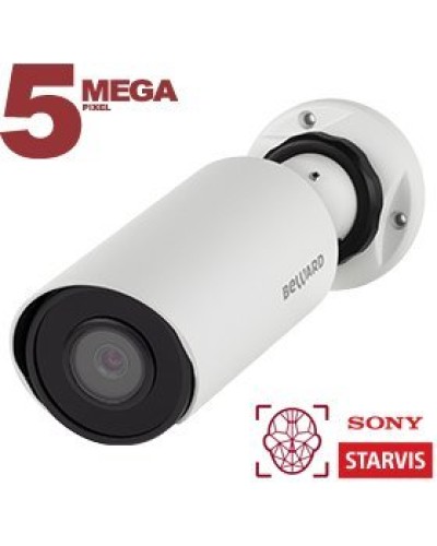 SV3218R2 (2,8мм). Видеокамера IP цилиндрическая. Beward в Якутске