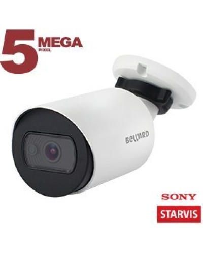 SV3210RC (3.6 мм). Видеокамера IP цилиндрическая. Beward в Якутске