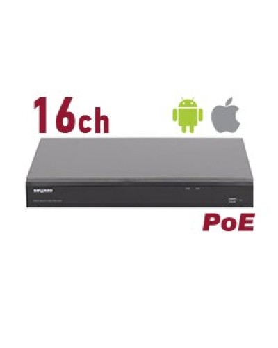 RK2216-P. Видеорегистратор IP 16-канальный. Beward в Якутске