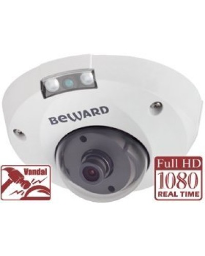 NK55630D8. IP-камера купольная. Beward в Якутске