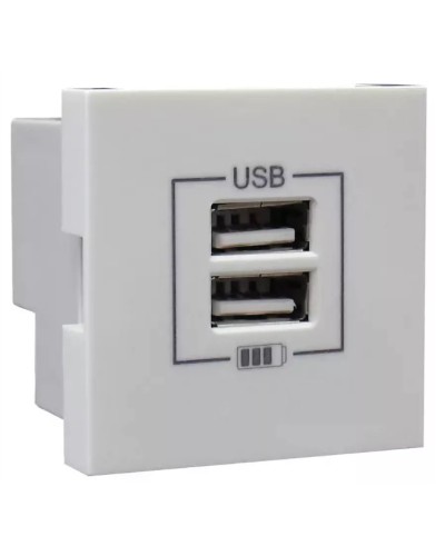 Розетка USB двойная, зарядная, белая (45439 SBR): Розетка USB двойная в Якутске