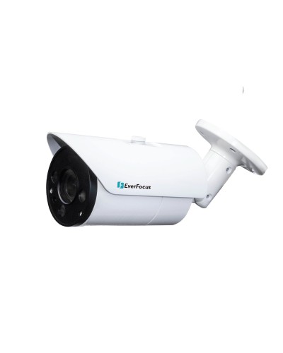 EZN-268V. Видеокамера IP купольная. EverFocus в Якутске