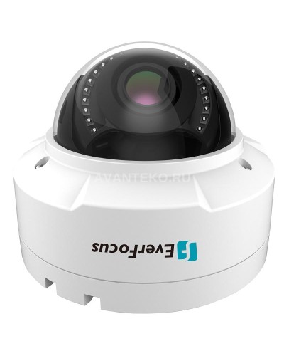 EHN-1250. Видеокамера IP купольная. EverFocus в Якутске