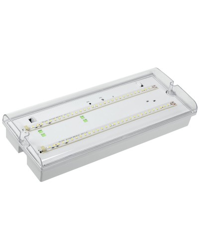 Светильник аварийный ДПА 5042-1 1ч IP65 LIGHTING (LDPA0-5042-1-65-K01). Светильник аварийный универсальный. IEK в Якутске