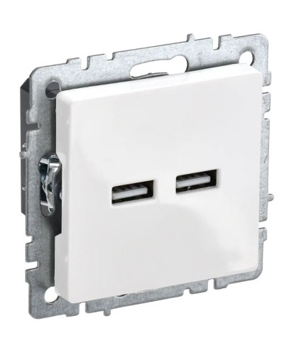 Розетка USB A+A 3,1А РЮ10-1-БрБ белый BRITE (BR-U21-D31-K01). Розетка USB. IEK в Якутске