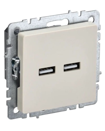 Розетка USB A+A 3,1А РЮ10-1-БрКр бежевый BRITE (BR-U21-D31-K10). Розетка USB. IEK в Якутске