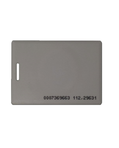 IL-05E GREY. Проксимити карта. IronLogic в Якутске