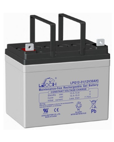 LEOCH LPG 12-31. Аккумулятор герметичный свинцово-кислотный. LEOCH в Якутске