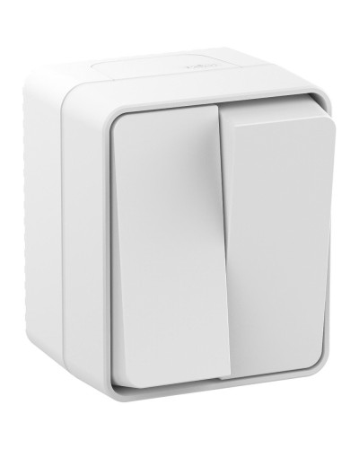AtlasDesign PROFI54 выключатель 2-клавишный, открытой установки, белый (ATN540151). Выключатель. Systeme Electric в Якутске