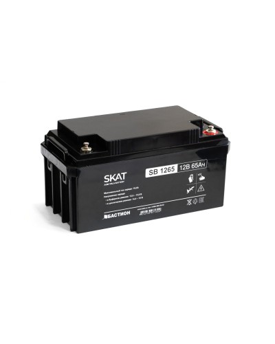 SKAT SB 1265 (2541). Аккумулятор герметичный свинцово-кислотный. Бастион в Якутске